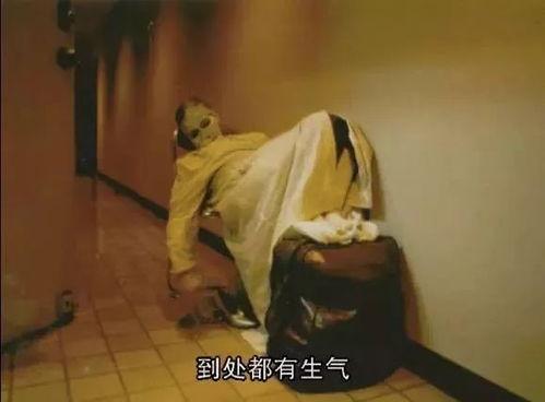 娼街在线观看  第3张