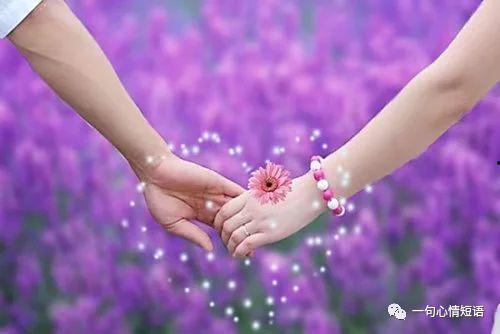 牵手在线观看,浪漫邂逅，情感之旅  第3张